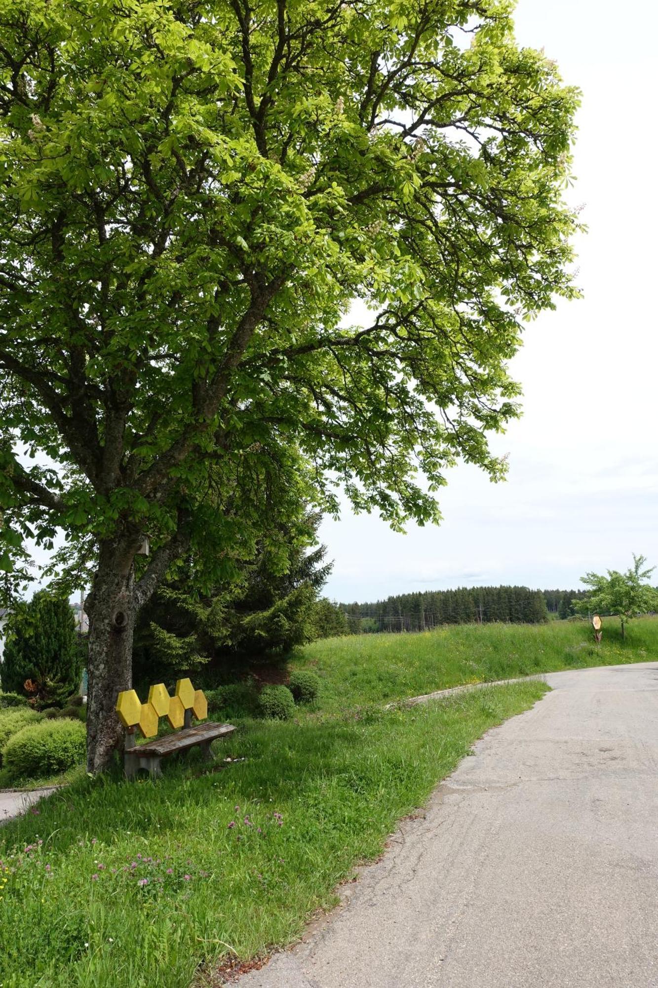 Blick In Den Garten Holzschlag Extérieur photo